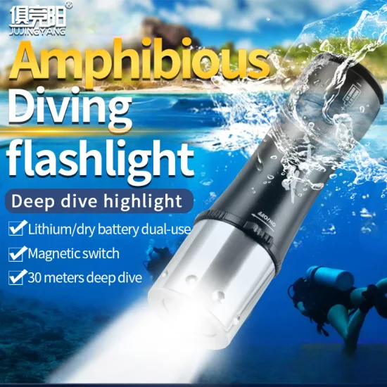 Professional Diving Flashlight Diving Torch LED Flashlight